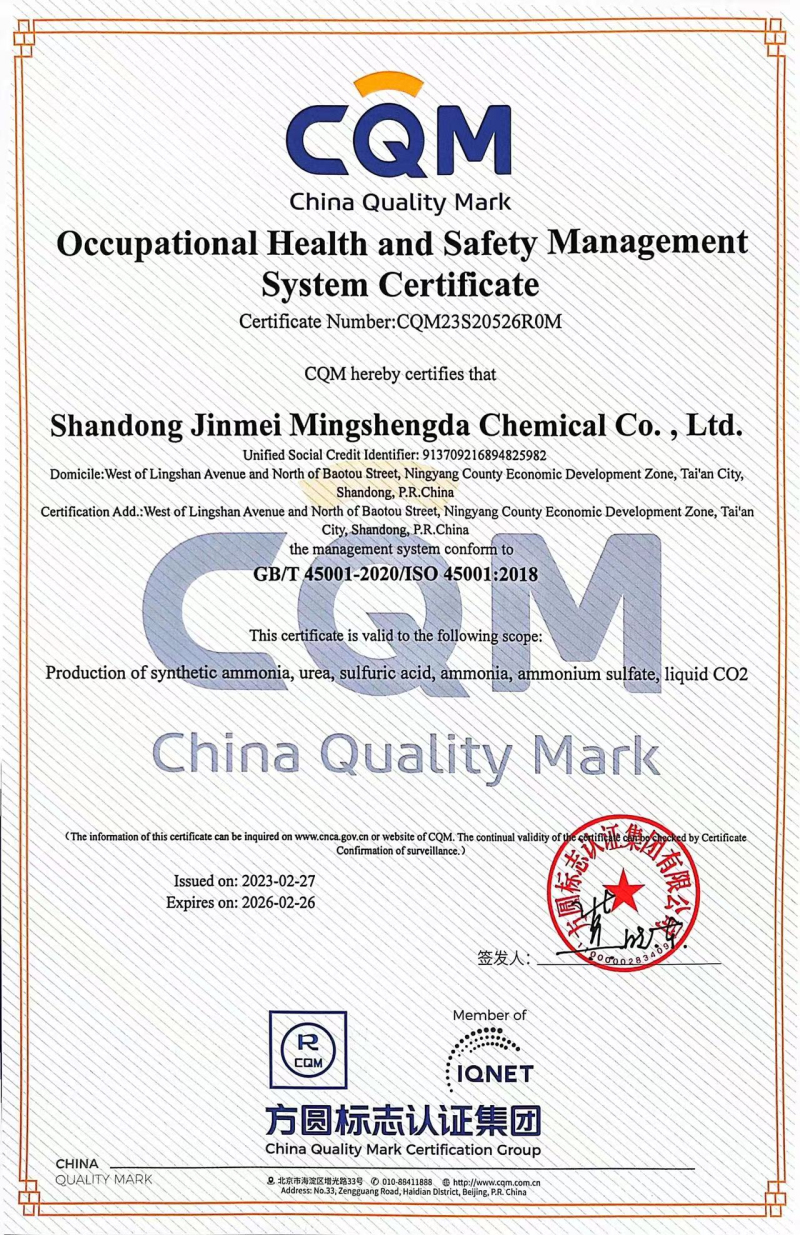 職業(yè)健康管理體系英文