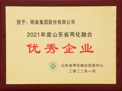 2021年度山東省兩化融合優秀企業